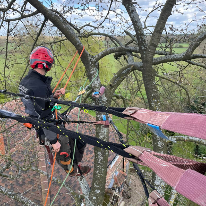 Cable Bracing 1