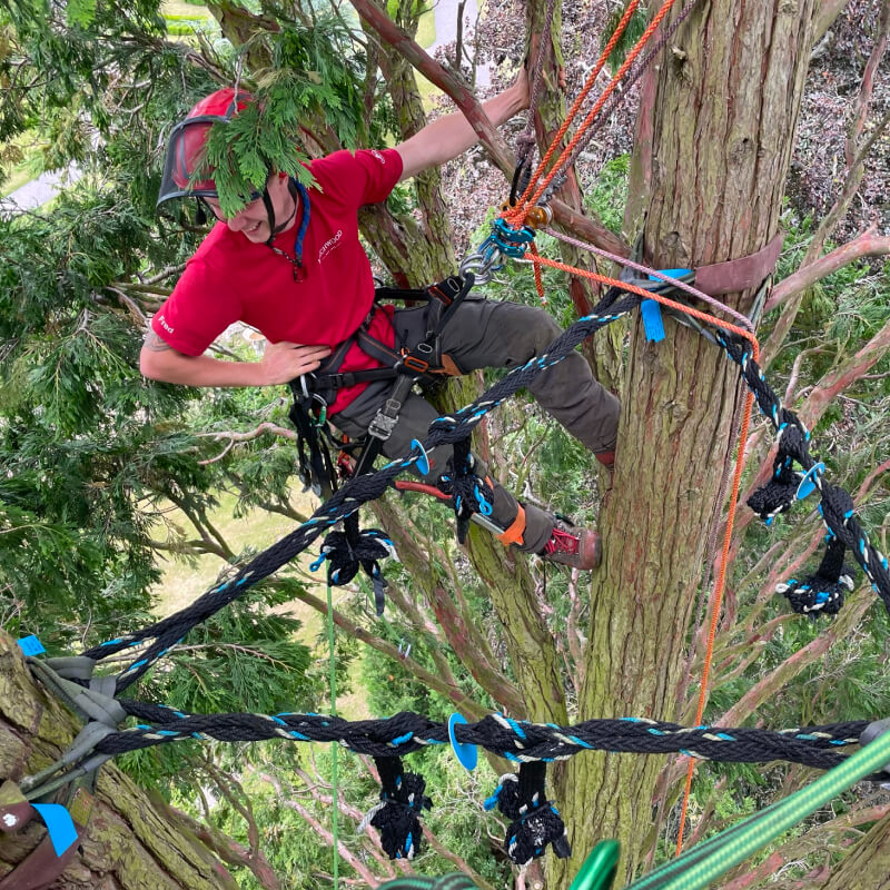 Cable Bracing 10