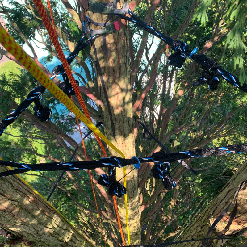 Cable Bracing 11
