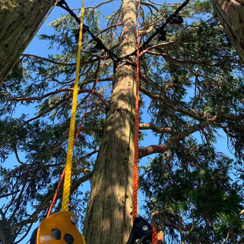Cable Bracing 3