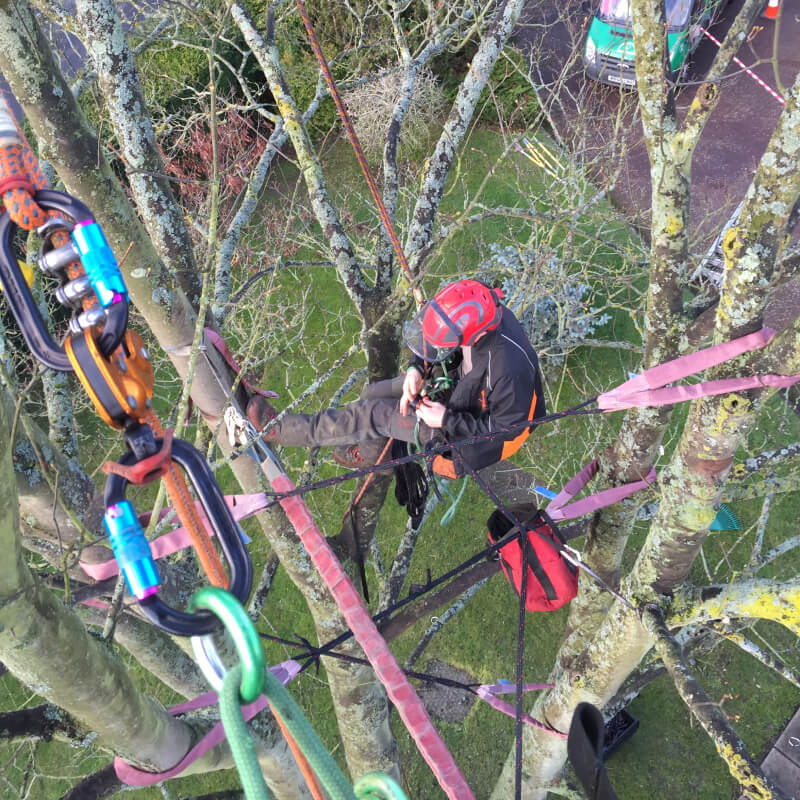 Cable Bracing 4