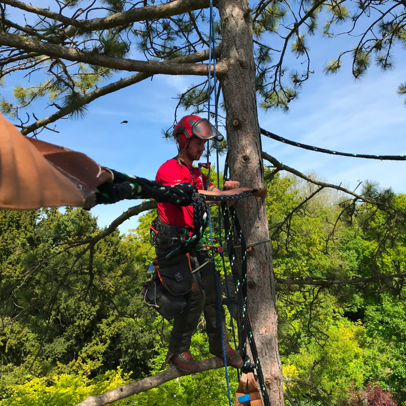 Cable Bracing 8