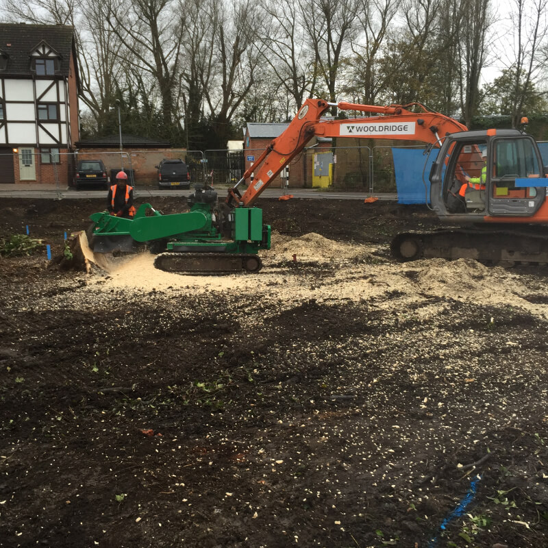 Site Clearance 14