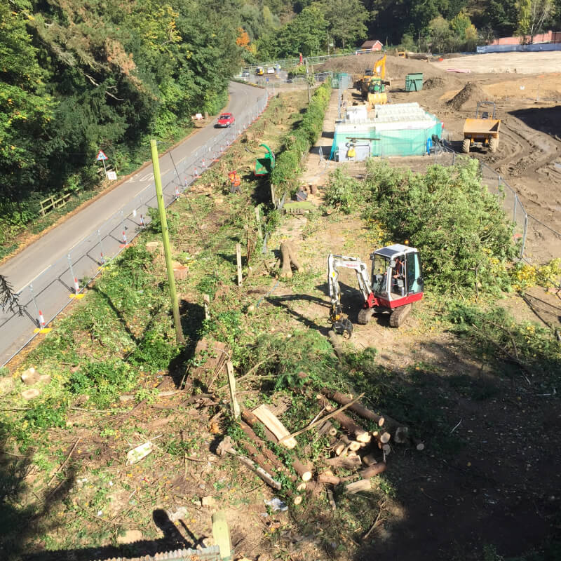 Site Clearance 6