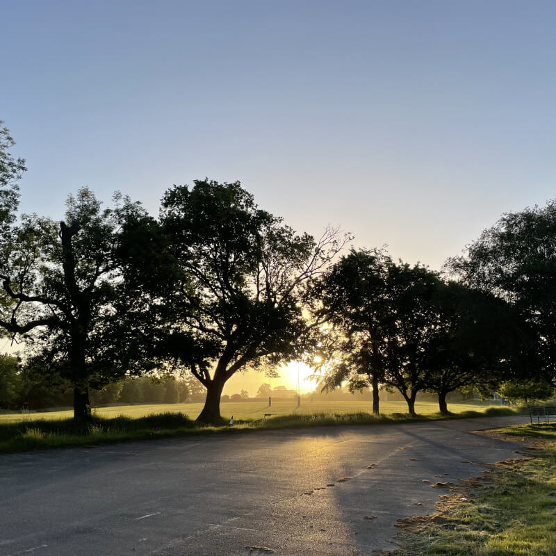 Tree Preservation 15