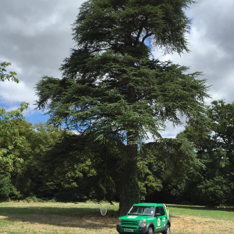 Tree Preservation 9