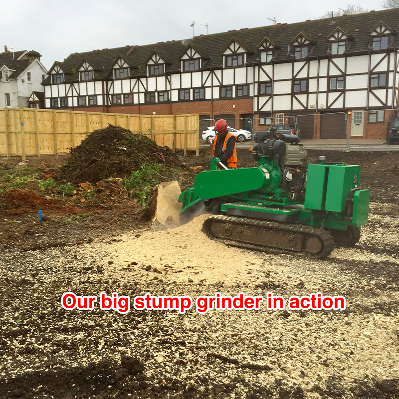 stump-grinding-1