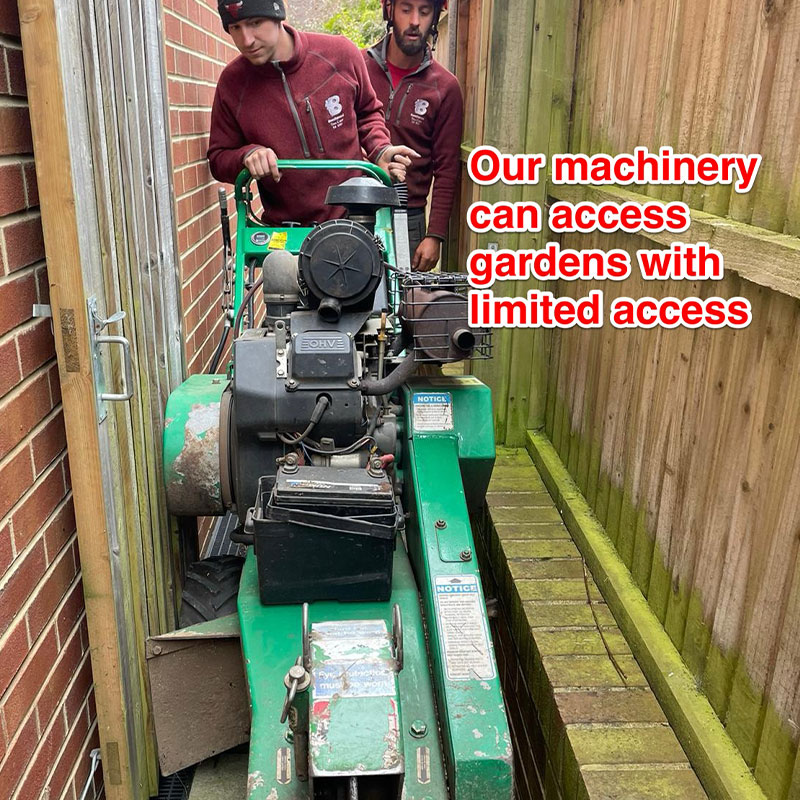 stump-grinding-4