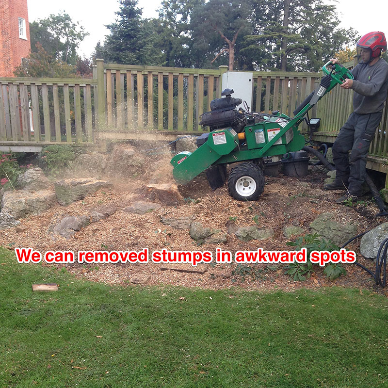 stump-grinding-5