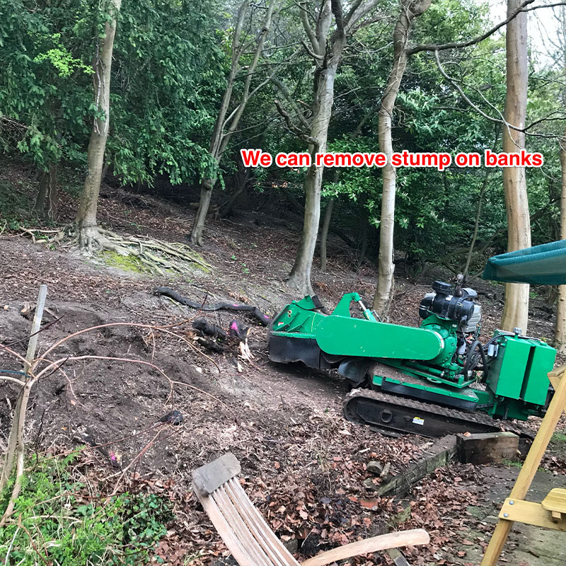 stump-grinding-7